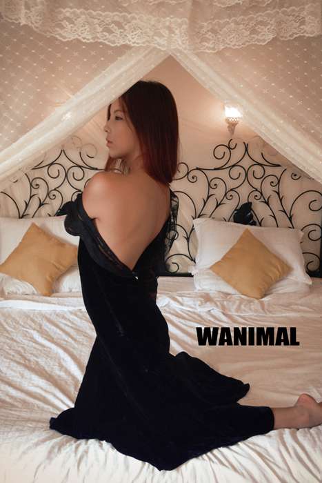 [wanimal艺术摄影