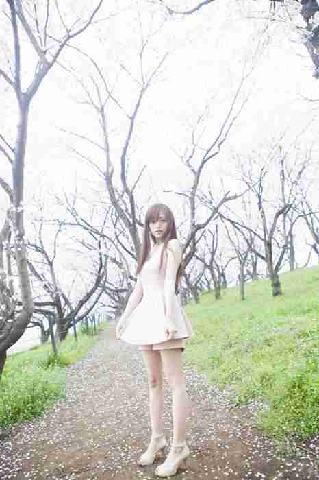 [WPB-NET]ID085 NO.1