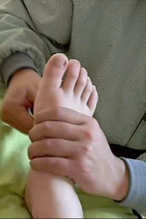 [西边的风原味丝
